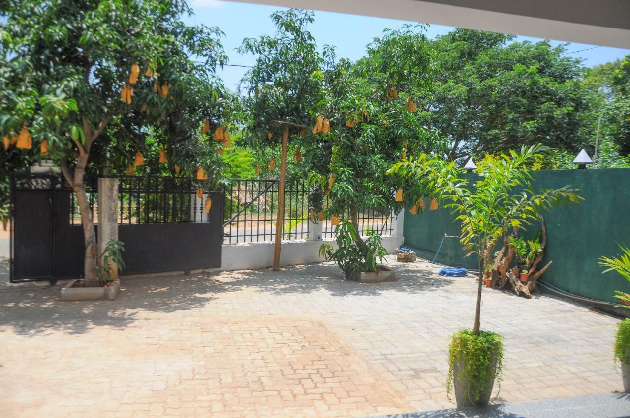 Restwell Homestay Dambulla Exteriör bild