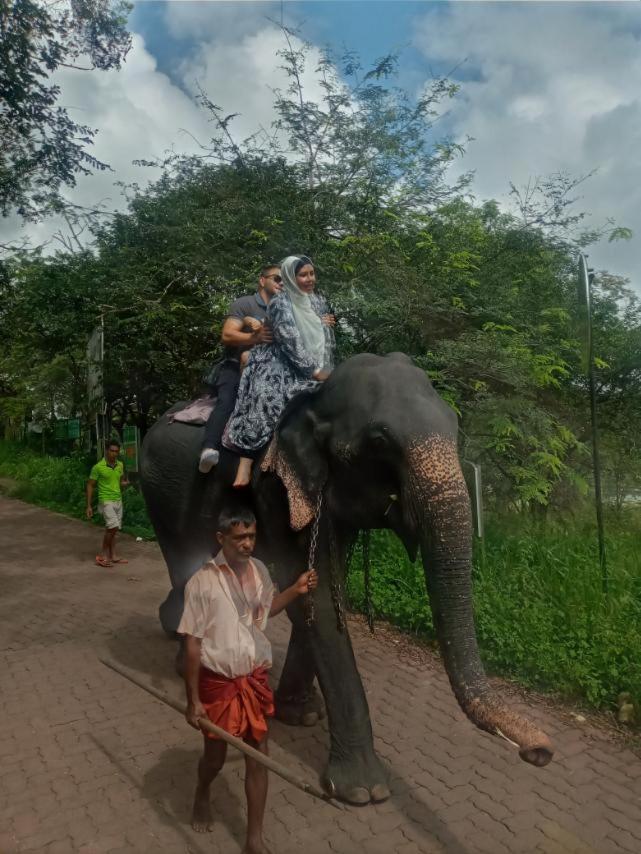 Restwell Homestay Dambulla Exteriör bild