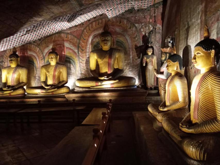 Restwell Homestay Dambulla Exteriör bild